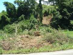 photo6