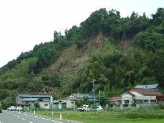 photo7