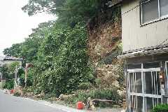 photo8