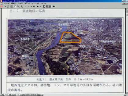 調査地点の航空