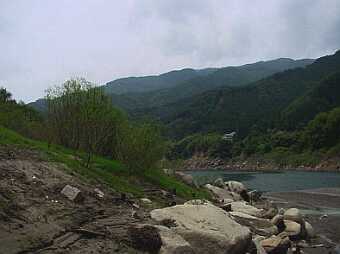 樹林と草本の混在風景 (自生
