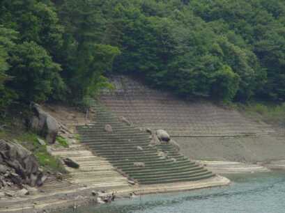 マサ土の湖岸法面に施工された緑化工法