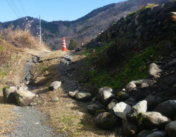 7.農道に認められる撓曲変形（地表地震断層） 地元の方の話では元々、緩やかなスロープ部だったということであるが、地震後は隆起によって車が決して通過できない状況となっている。