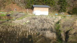 9.最大変位地点が地表地震断層出現の最北端部で認められる。なぜかこれより北側にはほとんど連続しない。