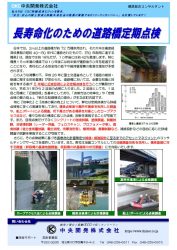 長寿命化のための道路橋定期点検