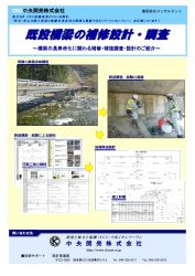 既設橋梁の補修設計・調査