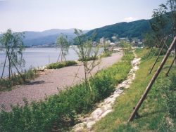 湖岸の環境整備事例