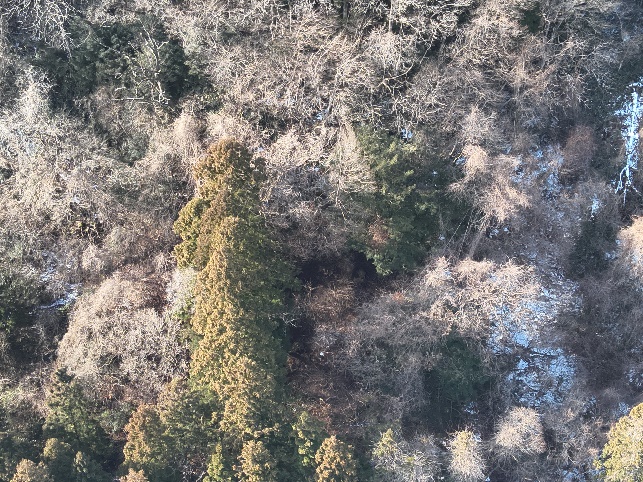 湧水源調査の状況