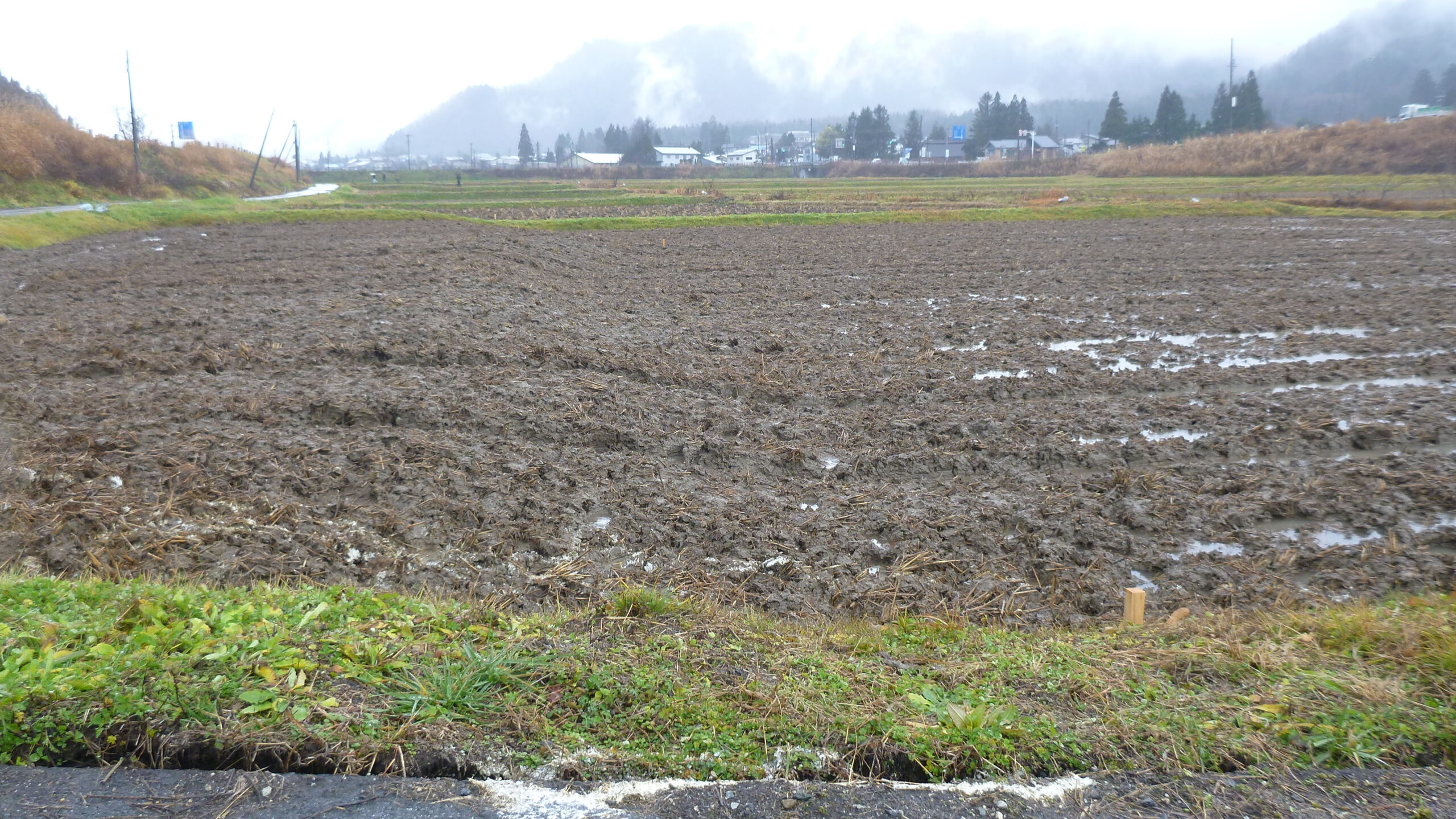 4.水田に認められる撓曲変形(地表地震断層) 飯森地区では、地表地震断層の連続が良い。姫川と平行するため、姫川の堰堤へ影響を及ぼして場所もある