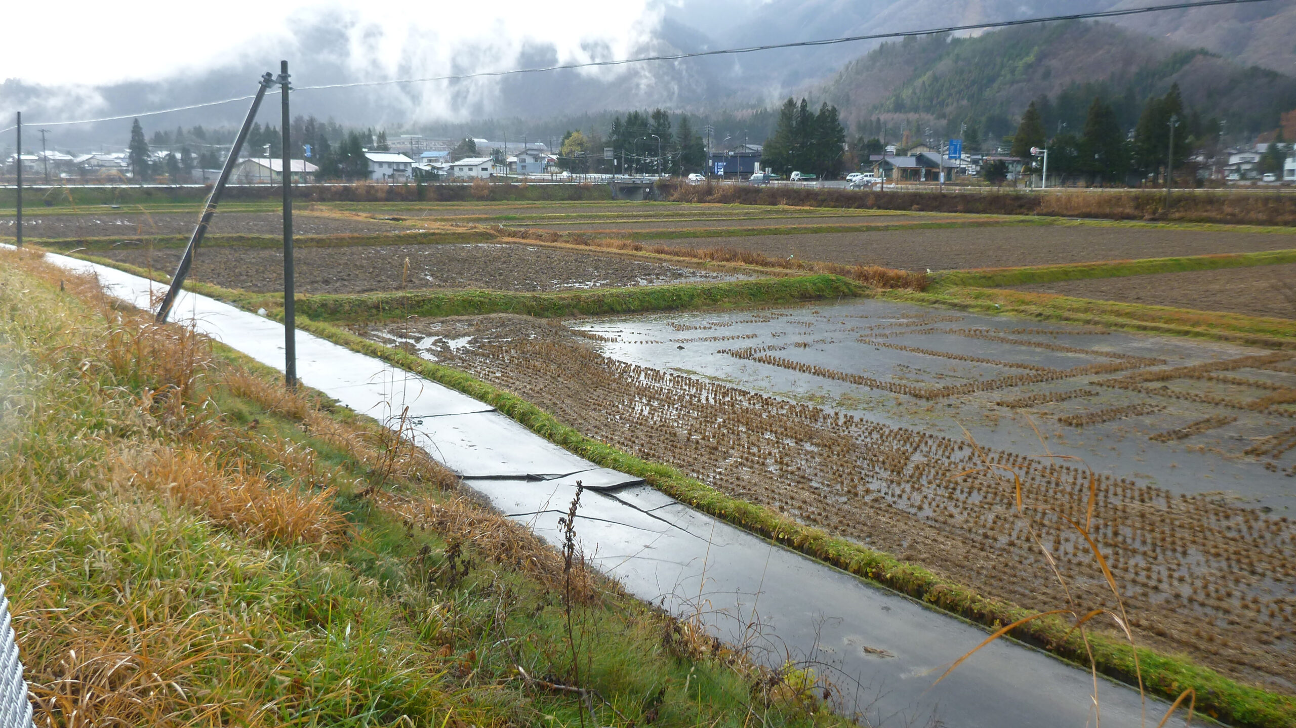 5.水田中に認められる撓曲変形(地表地震断層) 地震断層が出現している場所は直線状ではなく、ややうねっている。断層面が低角であることが推定される。水平方向の変位量は30~50cm程度である。